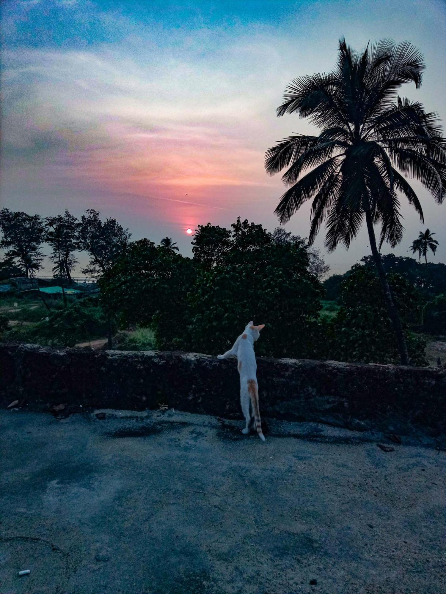 Dreamcatcher House & Hostel At Arambol Beach Esterno foto